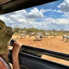 A tourist watches zebras on a safari in Tanzania