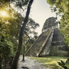 Built around 700 AD, the 57 metre high pyramid of Temple V in Tikal was one of the tallest and most voluminous buildings in the Maya world.