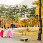 Three women in traditional Korean gowns walk through a park filled with red and yellow autumn trees.