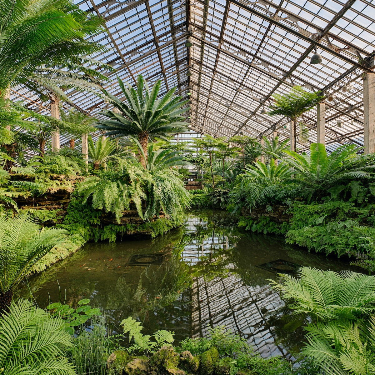 CHICAGO, ILLINOIS - DECEMBER 9: Fern Room of the Garfield Park Conservatory on December 9, 2013 in Chicago, Illinois; Shutterstock ID 166759727; Your name (First / Last): Josh Vogel; Project no. or GL code: 56530; Network activity no. or Cost Centre: Online-Design; Product or Project: 65050/7529/Josh Vogel/LP.com Destination Galleries