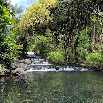 River running through Tabacon Hot Springs at Arenal Volcano.